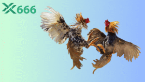 Các loại kèo đá gà phổ biến trên Tx666 và cách phân biệt chi tiết