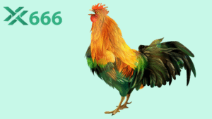 Những cao thủ đá gà nổi bật đang thi đấu trên Tx666 là ai?