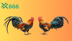 Vì sao đá gà trực tuyến tại Tx666 thu hút đông đảo cược thủ