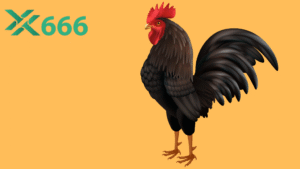 Xem lại highlight các trận đá gà hấp dẫn nhất ngay trên Tx666